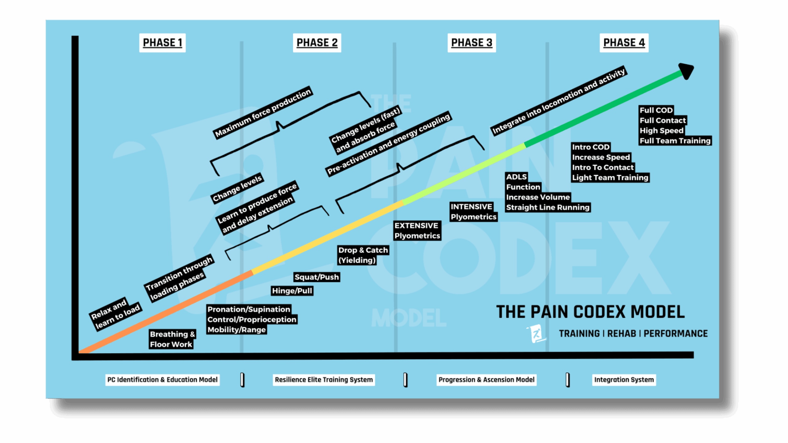 The Pain Codex Model diagram showing four progressive phases of rehabilitation and performance training. The graph illustrates a systematic approach from initial mobility and pain management (Phase 1) through to high-speed functional training (Phase 4), with specific exercises and techniques at each level to help athletes train through injuries while improving performance.