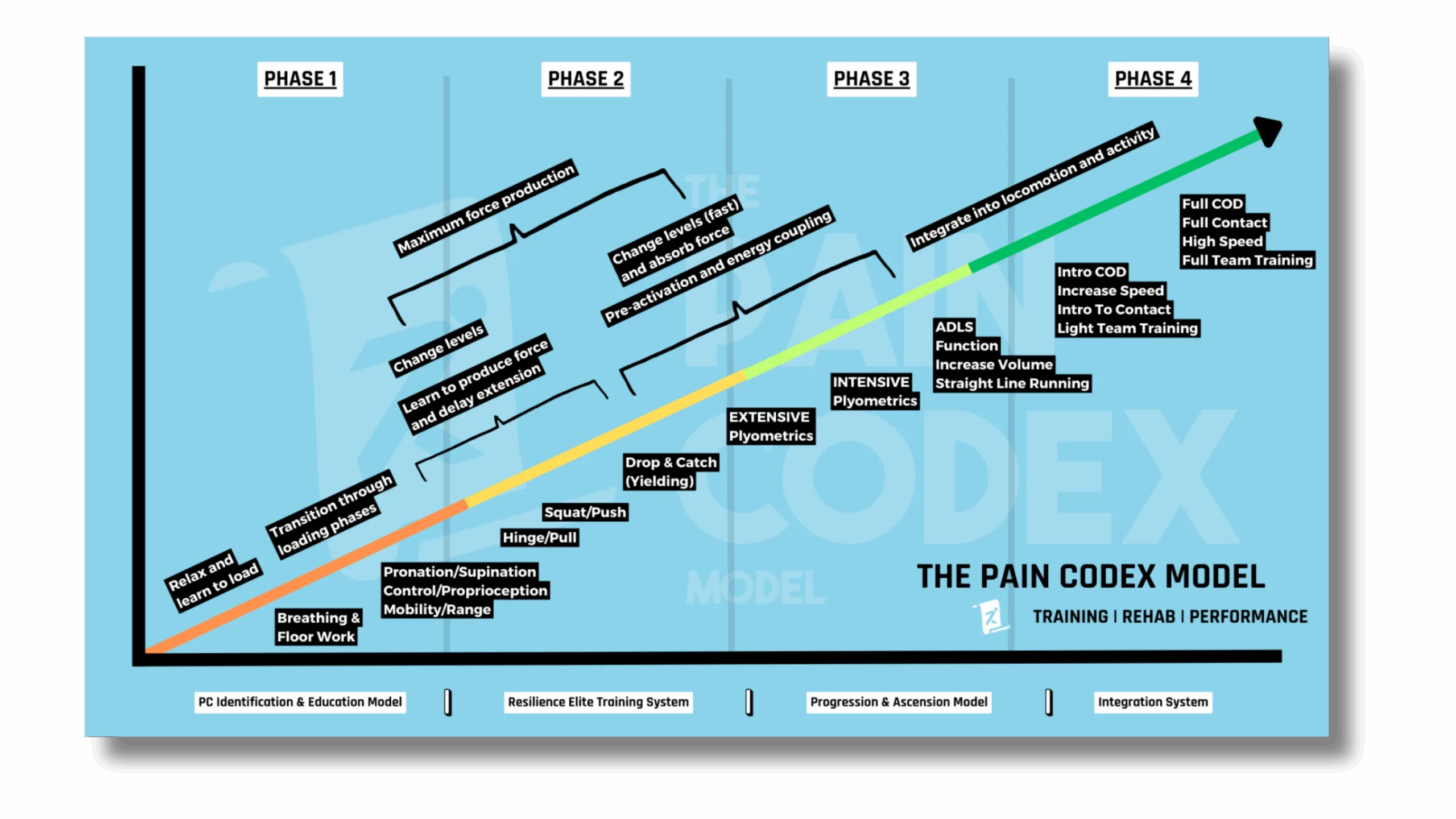 Home | Resilience Rehab & Performance 31 Diagram illustrating the Pain Codex Model